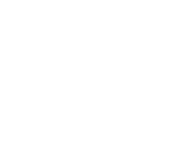 Michel Turgeon